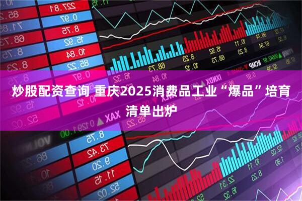 炒股配资查询 重庆2025消费品工业“爆品”培育清单出炉