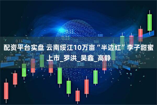 配资平台实盘 云南绥江10万亩“半边红”李子甜蜜上市_罗洪_吴鑫_高静