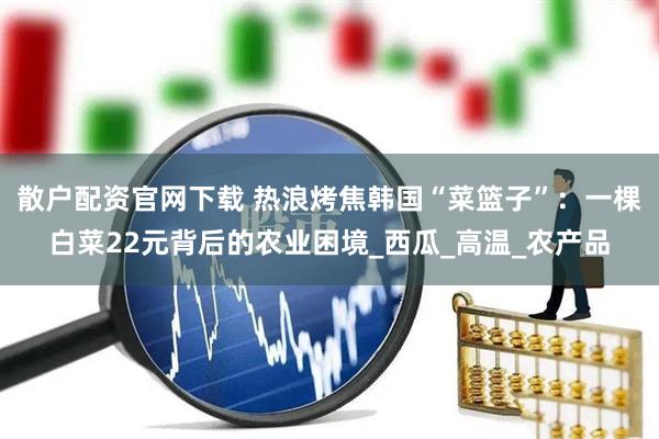 散户配资官网下载 热浪烤焦韩国“菜篮子”：一棵白菜22元背后的农业困境_西瓜_高温_农产品