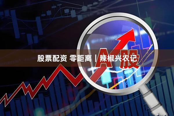 股票配资 零距离｜辣椒兴农记